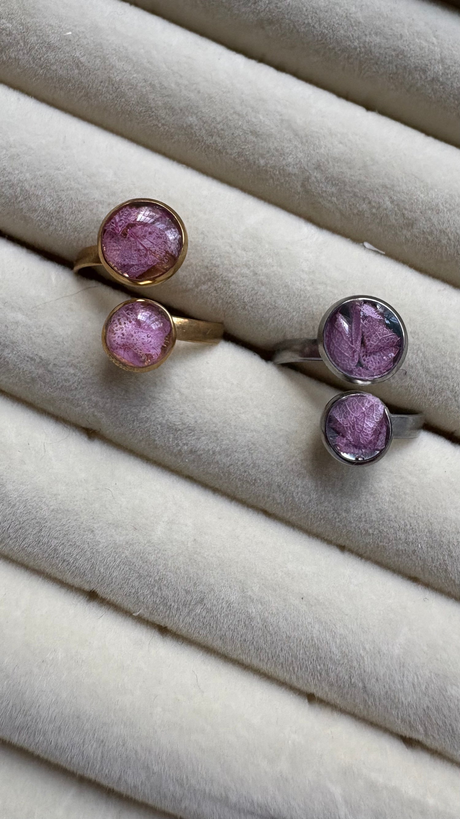 Anillos flores preservadas