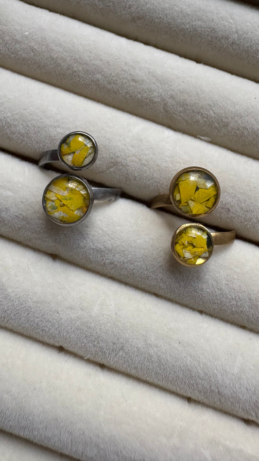 Anillo con flores preservadas encapsuladas 🌸✨- Margarita amarilla