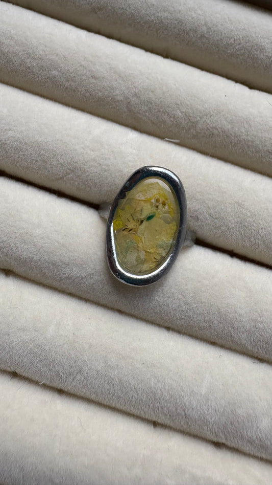 Anillo con flores preservadas encapsuladas 🌸✨- Margarita amarilla